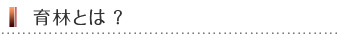 育林とは?